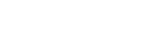 Nanodefense Pro logo